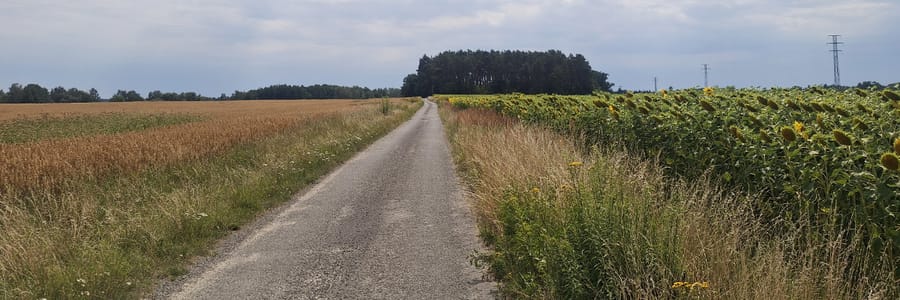 Polní cesta mezi poli na trase cyklostezky do Veselí nad Lužnicí